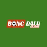 Bongdalu