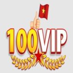 100vip