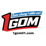 1gom1site