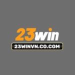 23winvncocom