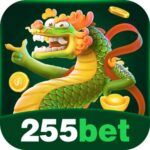 255BET – Cassino com Benefícios VIP