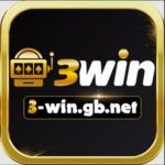 3Win gbnet