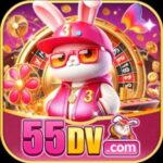 55dv
