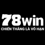 78winchtop