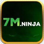 7mninja