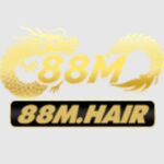 88M