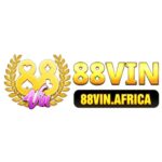 88vinafrica