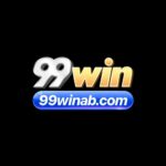 99winabcom