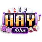 9haywincomtop