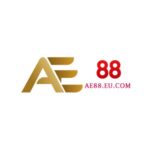 AE88 eucom