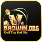 baowinorg