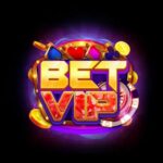 betvipwebcam