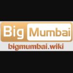 bigmumbaiwiki