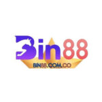 BIN88