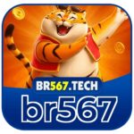 br567