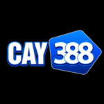 Cay388cam