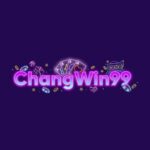 changwin99com