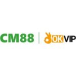 cm88seocom11
