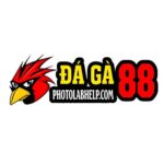 DAGA88 ĐÁ GÀ TRỰC TIẾP THOMO HÔM NAY Full HD