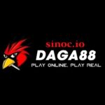 ĐÁ GÀ 88 SINOC