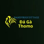 Đá Gà Trực Tiếp Thomo