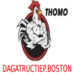 dagatructiepboston