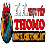 dagatructiepthomoday