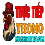 dagatructiepthomohomnay