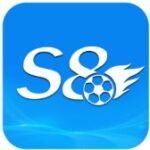 S8