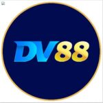 dv88vipcom