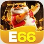 E66