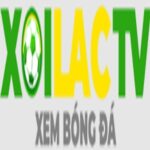 fondazionesabattini.it fake platform