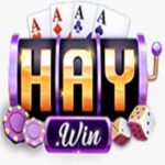 haywin1codes