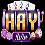 haywin1dev
