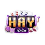 haywin1info