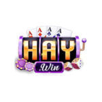 haywin1loan