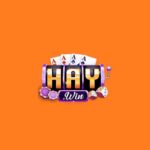 haywin2net