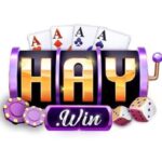 haywin2pro