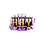 haywin9io