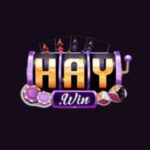 Trải Nghiệm Haywin Club – Sân Chơi Game Bài Đỉnh Cao 2026