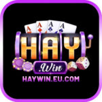 HAYWIN EU