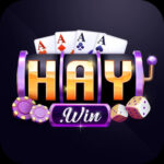 HAYWIN