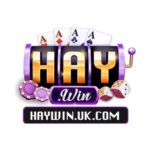 Haywin - Link Truy Cập Cổng Game Giải Trí Trực Tuyến 2026