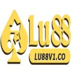 lu88v1co