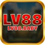 lv88 baby