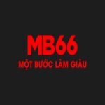MB66