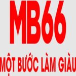 MB66