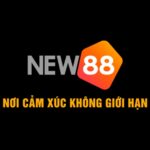 new88102