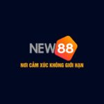 new88kunet
