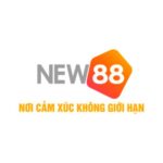 New88 – Nơi Cảm Xúc Không Giới Hạn